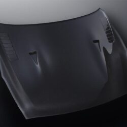 mines-carbon-bonnet-type-ii-clear-paint-finish-minesgtr43-1.347